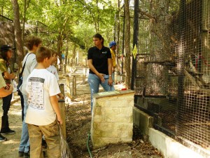 Orca member demonstrating concepts to student